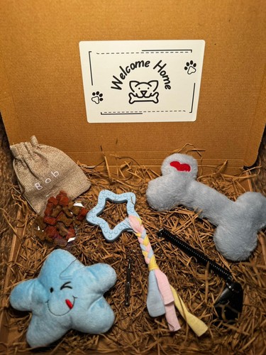 New puppy starter pack blue - new,