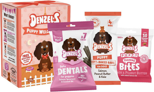 Denzel all natural - all, puppy